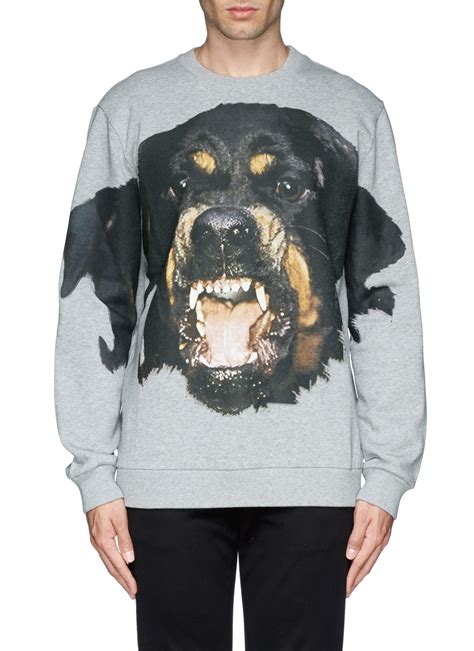 givenchy rottweiler hoodie|Rottweiler sweatshirt .